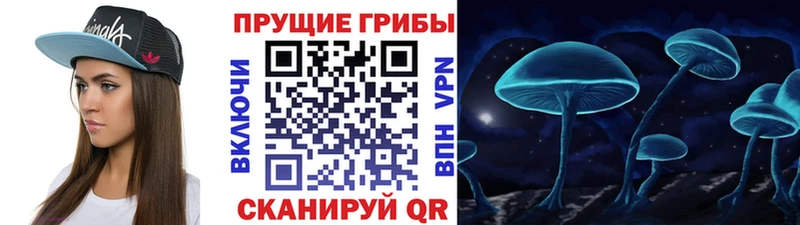 mega   Озёрск  Псилоцибиновые грибы Psilocybine cubensis 